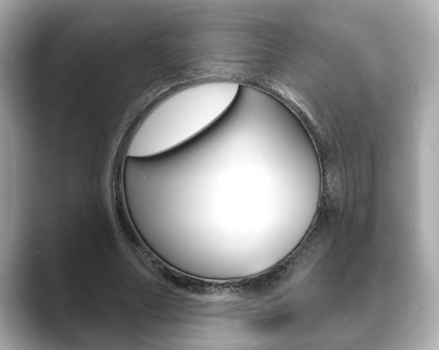 X0000089680682200706210814