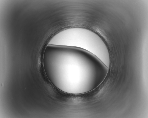 X0000089680685200706210814