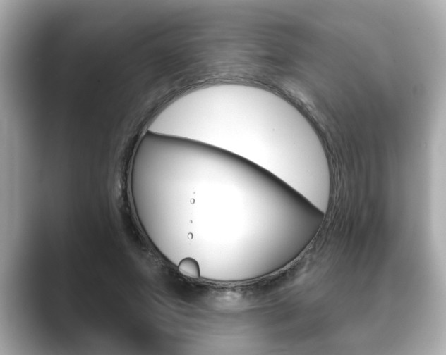 X0000089680687200706210814
