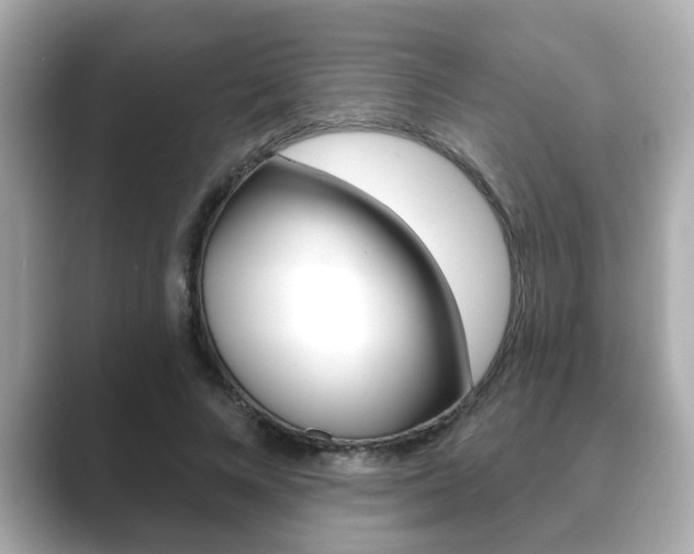 X0000089680688200706210814