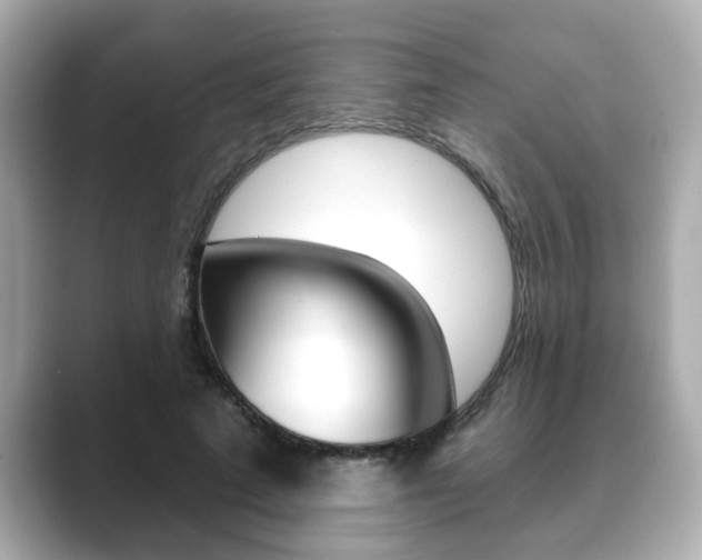 X0000089680689200706210814