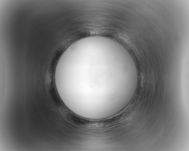 X0000089680691200706210814