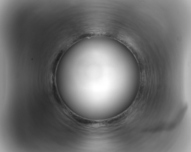 X0000089680692200706210814