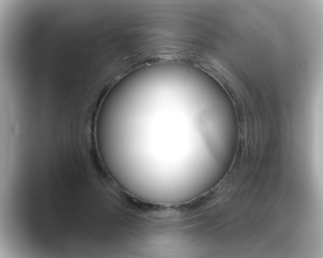 X0000089680696200706210814
