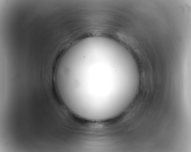 X0000089680698200706210814
