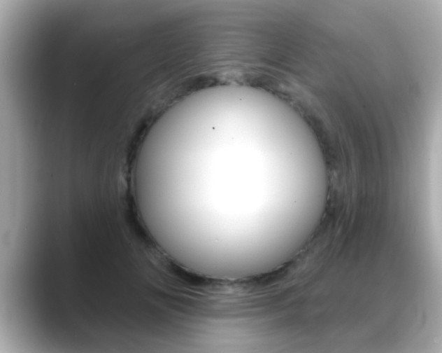 X0000089680702200706210814