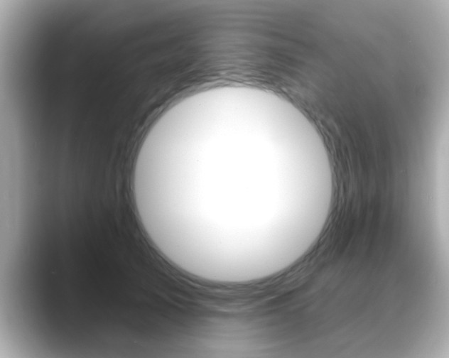 X0000089680705200706210814