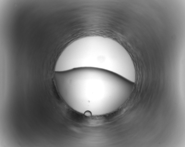 X0000089680707200706210814