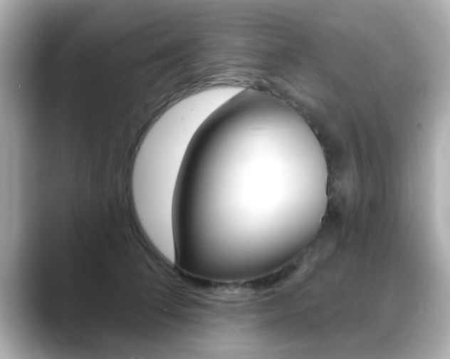 X0000089680708200706210814