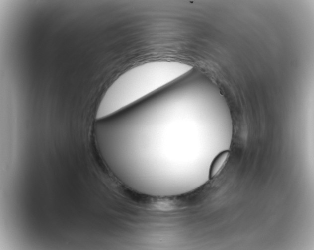 X0000089680710200706210814