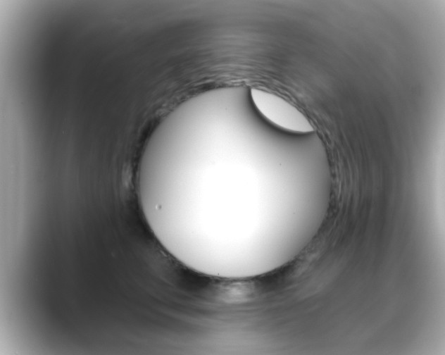 X0000089680711200706210814