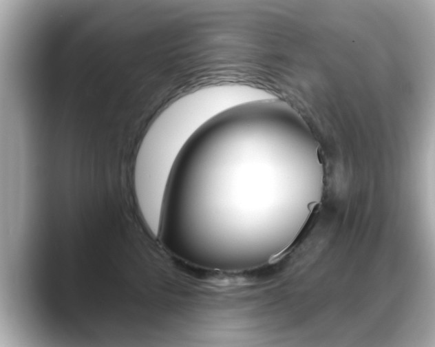 X0000089680712200706210814