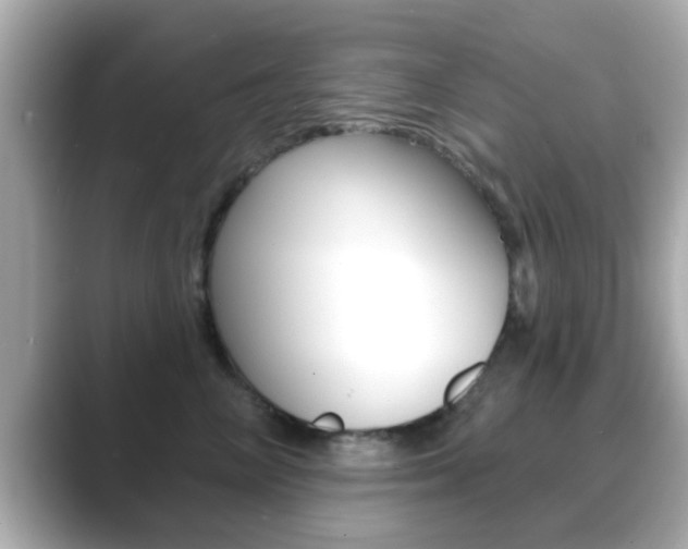 X0000089680714200706210814