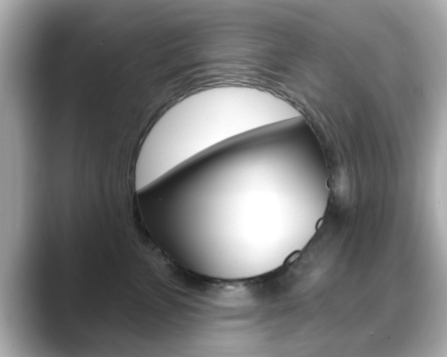 X0000089680715200706210814
