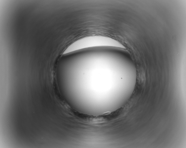 X0000089680716200706210814