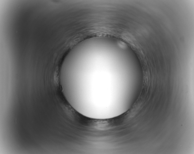 X0000089680719200706210814
