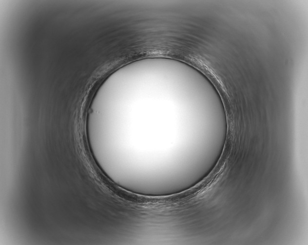 X0000089680721200706210813