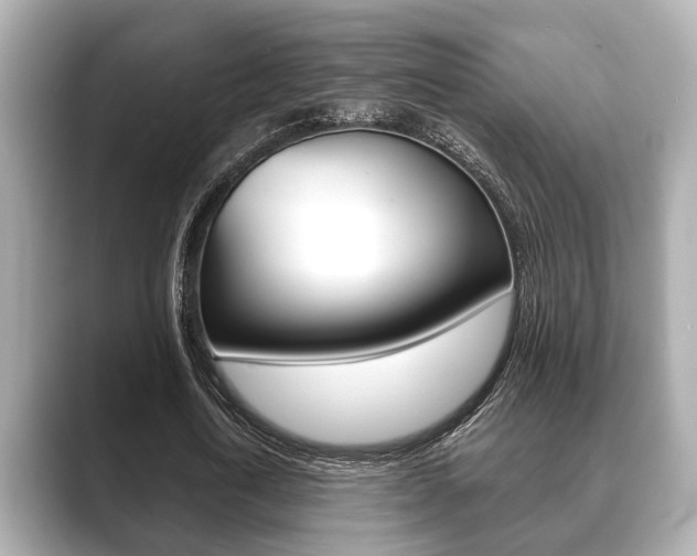X0000089680722200706210813