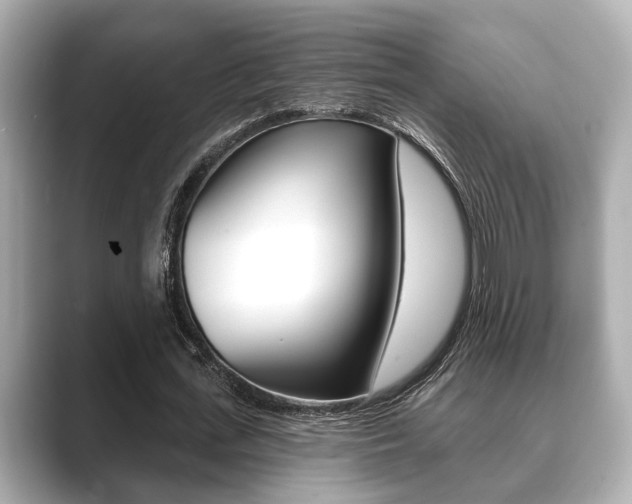 X0000089680723200706210813