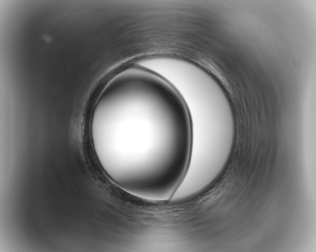 X0000089680724200706210813