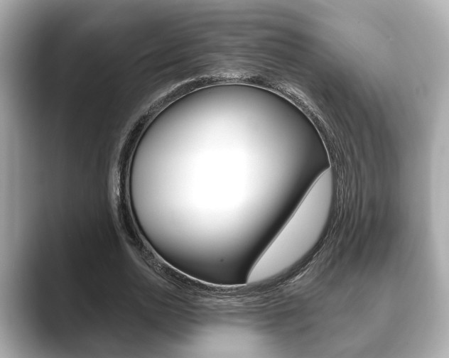 X0000089680726200706210813