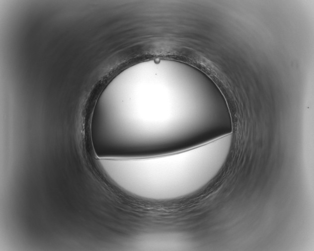X0000089680727200706210813