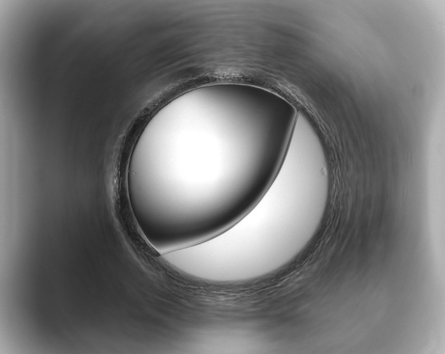 X0000089680728200706210813
