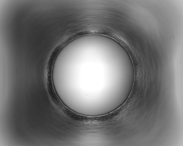 X0000089680730200706210813