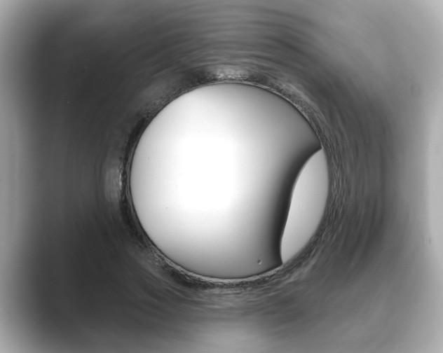 X0000089680733200706210813