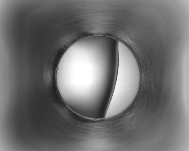 X0000089680735200706210813