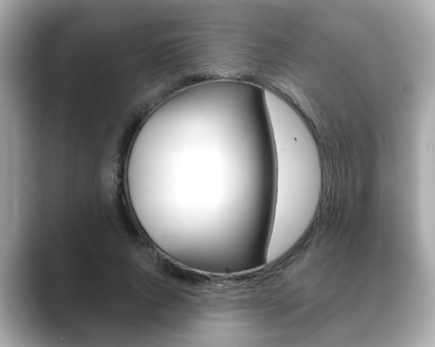 X0000089680736200706210813