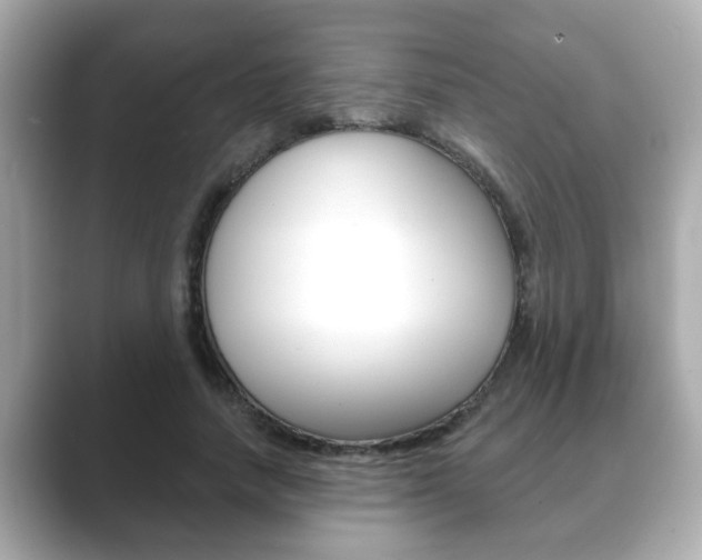 X0000089680738200706210813