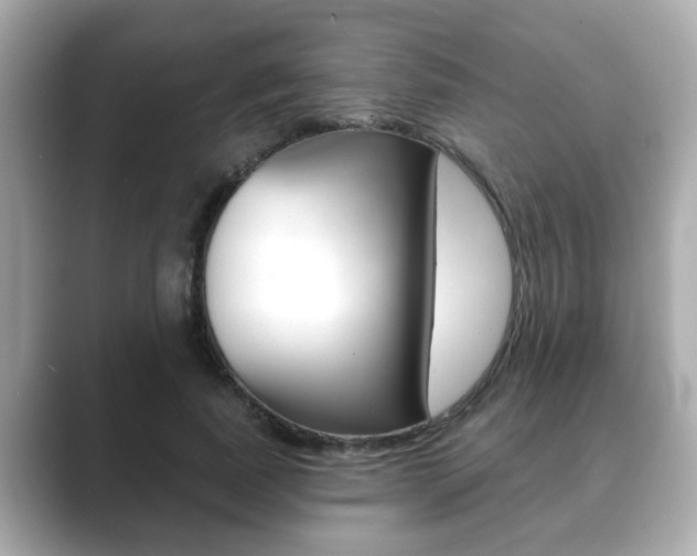 X0000089680739200706210813
