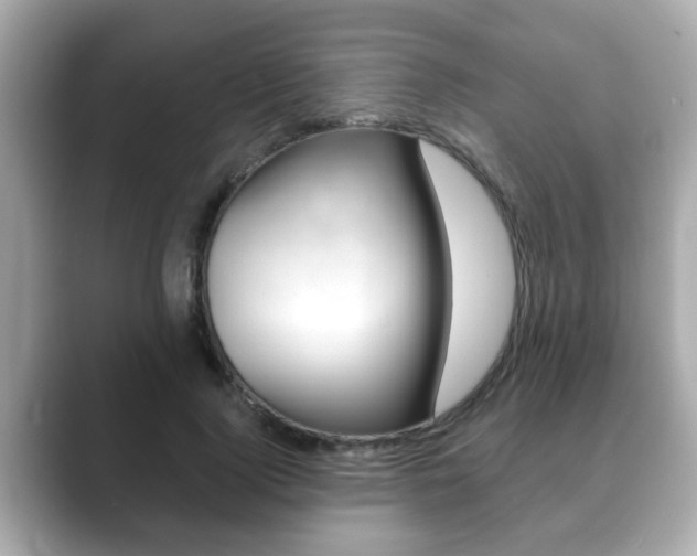 X0000089680740200706210813