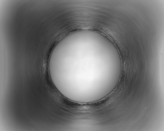 X0000089680741200706210813