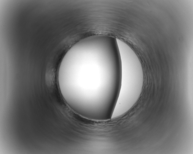X0000089680744200706210814