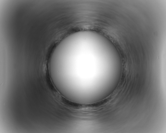 X0000089680746200706210814