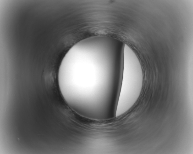 X0000089680747200706210814