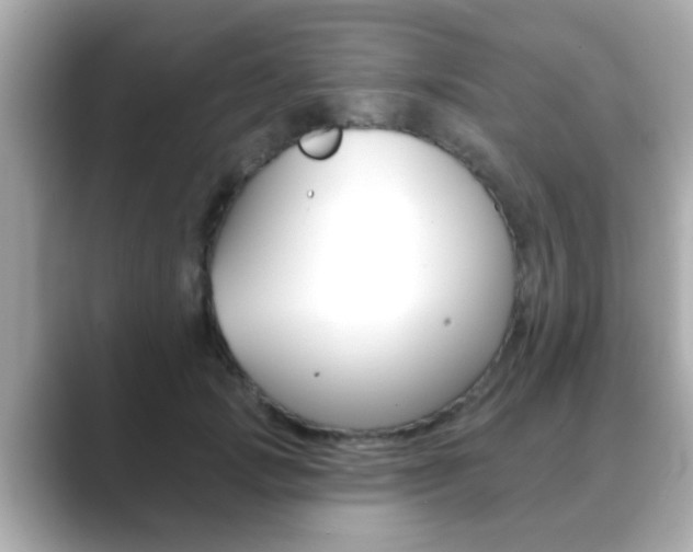 X0000089680749200706210814