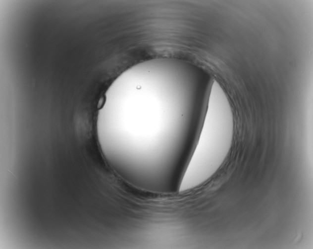 X0000089680751200706210814