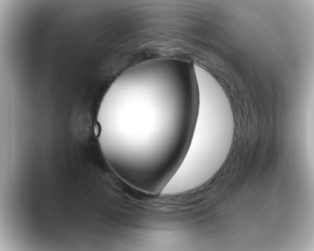 X0000089680752200706210814