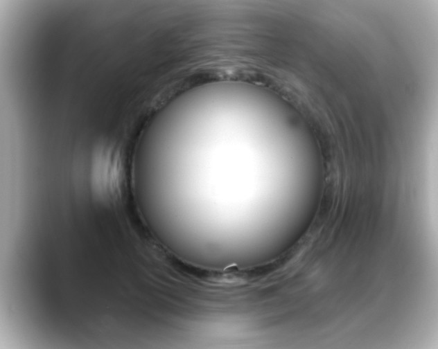 X0000089680754200706210814