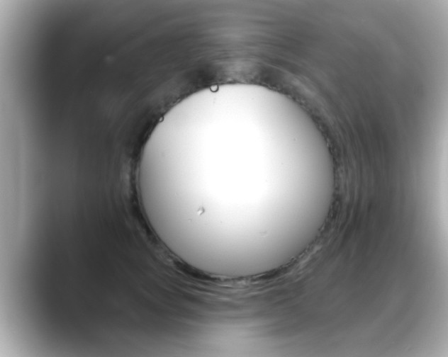 X0000089680757200706210814