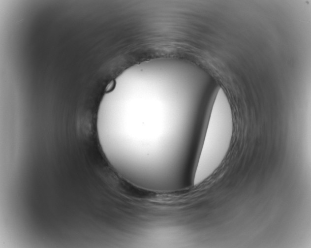 X0000089680758200706210814