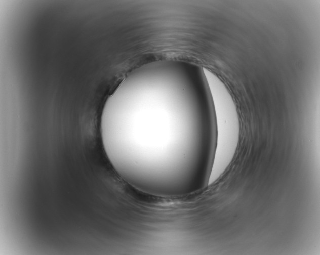 X0000089680760200706210814