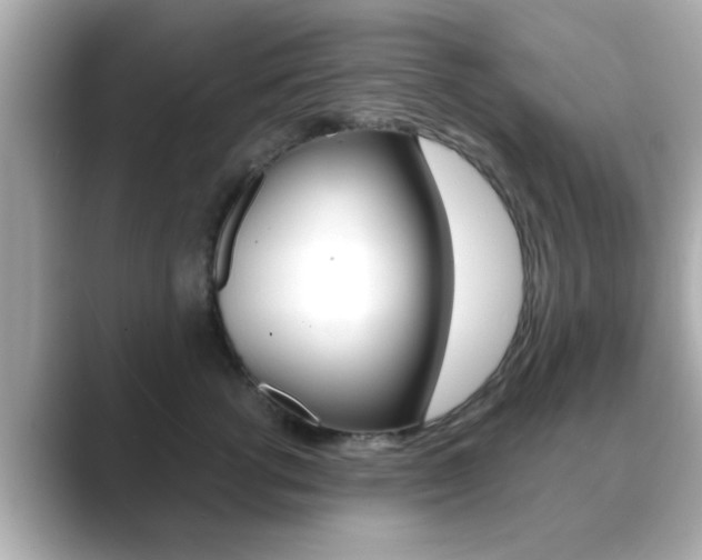 X0000089680762200706210814