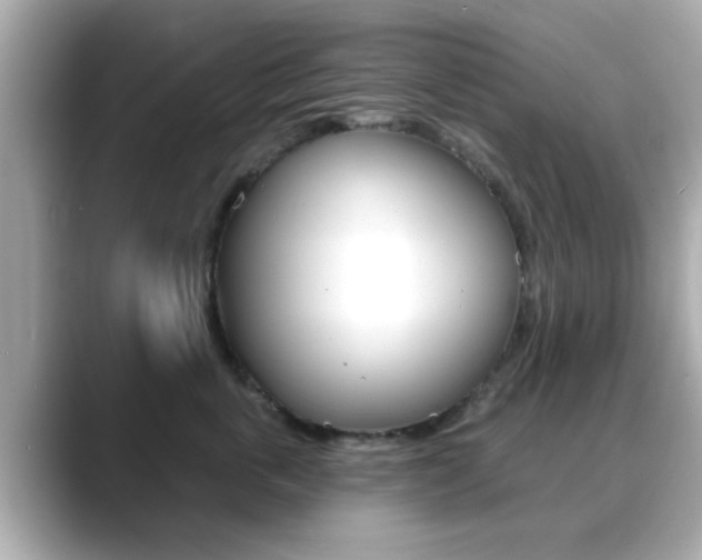X0000089680763200706210814