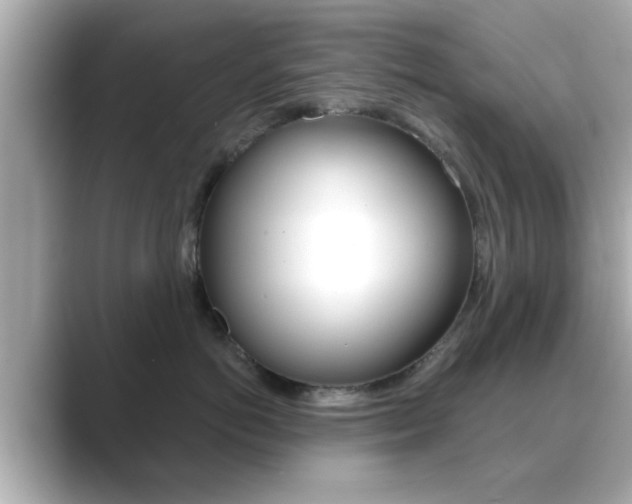 X0000089680766200706210814