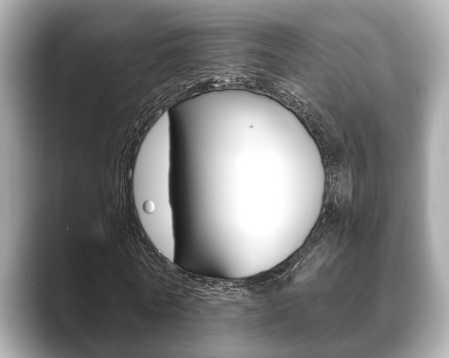 X0000089680770200706210813