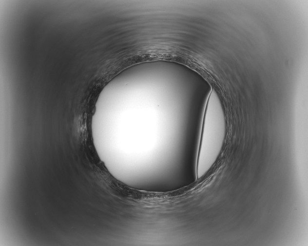 X0000089680771200706210813